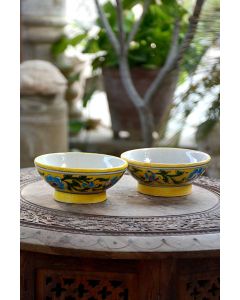 Handmade Blue Pottery designer plates for snacks and bowl set of 2 for any occasion floral print MultiColour